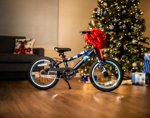 Christmas Bike